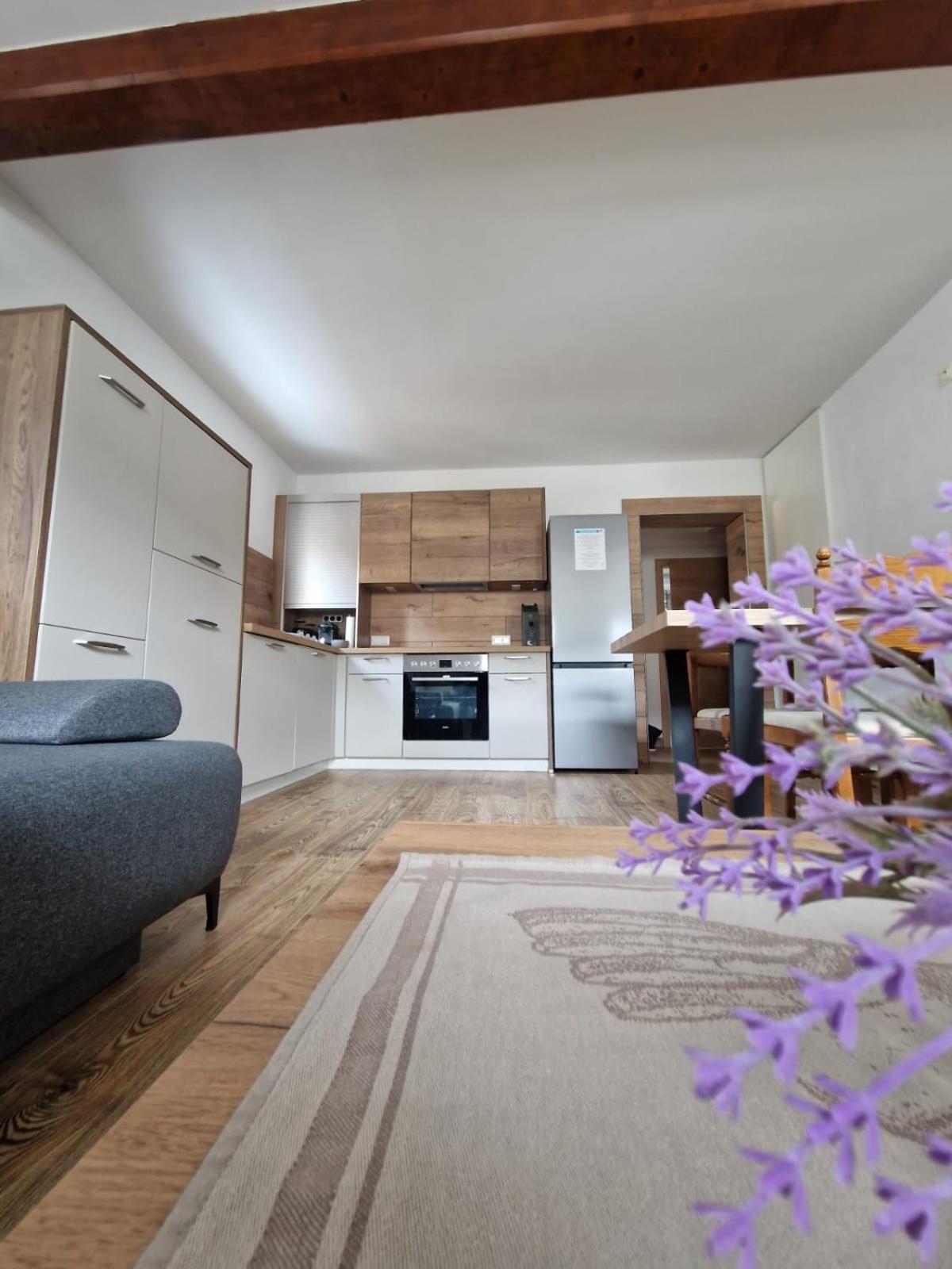Haus-Ennstal Lägenhet Oblarn Exteriör bild